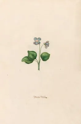 Merzen Violn (1692) (Merzen Violn (1692))