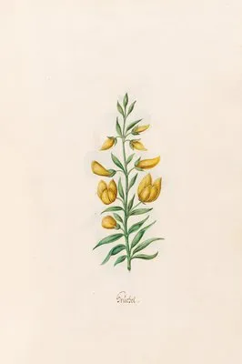 Teüchel (1692)