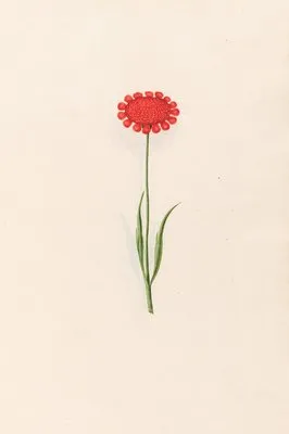 Untitled (1692) (Untitled (1692))
