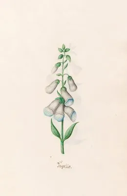 Fingerhüt (1692)