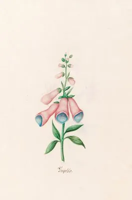 Fingerhüts (1692)