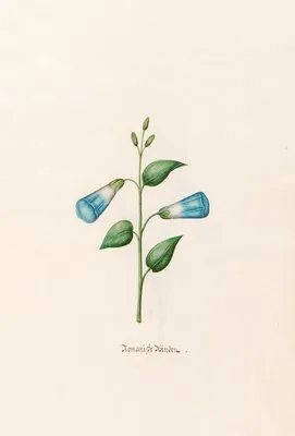 Romanishe Binden (1692) (Romanishe Binden (1692))