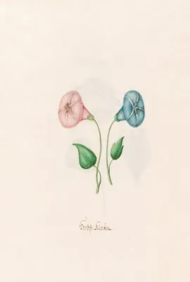 Herbst; klocken (1692) (Herbst; klocken (1692))