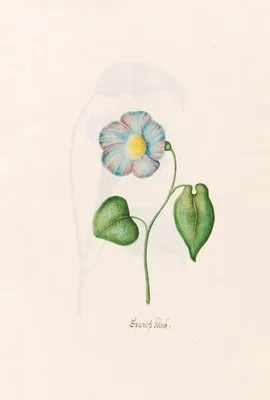 Spanish klock (1692) (Spanish klock (1692))