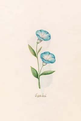 Englishe klock (1692) (Englishe klock (1692))