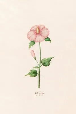 Sÿr. Pappel (1692)