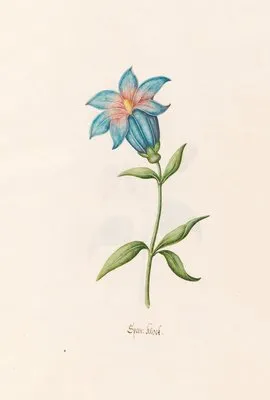 Span; klock (1692) (Span; klock (1692))