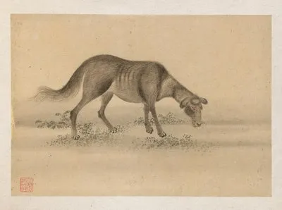 Bonsai kabenzu, Pl.30 (Bonsai kabenzu, Pl.30)