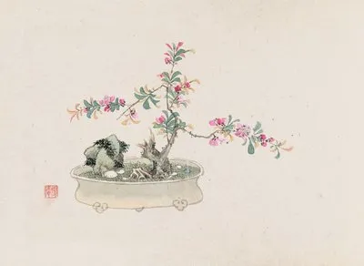 Bonsai kabenzu, Pl.27 (Bonsai kabenzu, Pl.27)