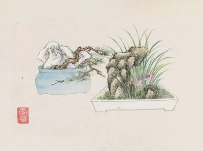 Bonsai kabenzu, Pl.25 (Bonsai kabenzu, Pl.25)