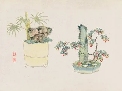 Bonsai kabenzu, Pl.23 (Bonsai kabenzu, Pl.23)