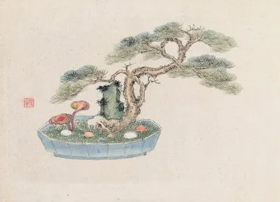 Bonsai kabenzu, Pl.01 (Bonsai kabenzu, Pl.01)