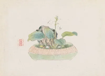 Bonsai kabenzu, Pl.09 (Bonsai kabenzu, Pl.09)