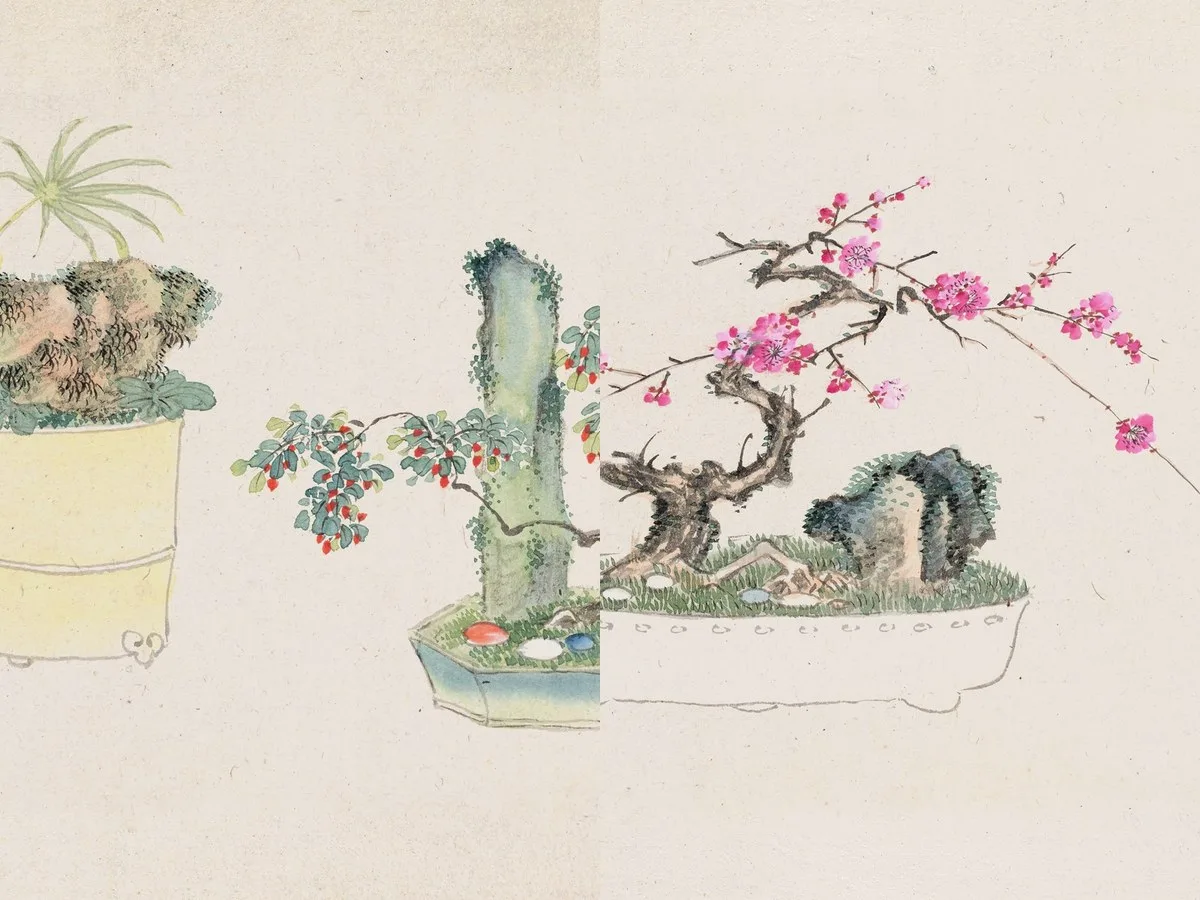Bonsai kabenzu