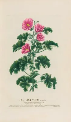 La Mauve en arbre (1787) (La Mauve en arbre (1787))