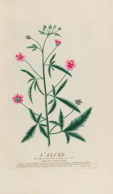 L’Alcée (1787)