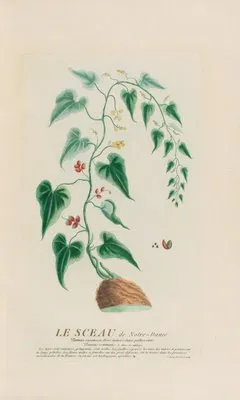 Le Sceau de Notre-Dame (1787) (Le Sceau de Notre-Dame (1787))