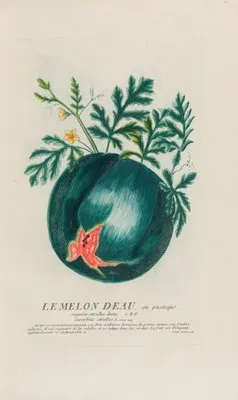Le Melon Deau, ou pasteque (1787) (Le Melon Deau, ou pasteque (1787))