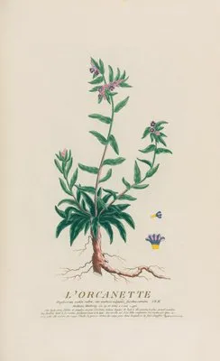 L’Orcanette (1787)
