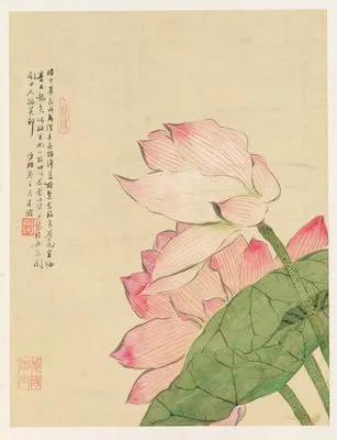 Flowers Pl.04 (19th Century) (Flowers Pl.04 (19th Century))