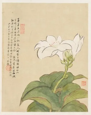 Flowers Pl.07 (19th Century) (Flowers Pl.07 (19th Century))