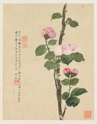 Flowers Pl.11 (19th Century) (Flowers Pl.11 (19th Century))