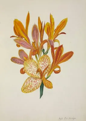 Mon Jardin a Ceylan Pl.050 (1896) (Mon Jardin a Ceylan Pl.050 (1896))