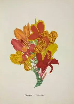 Mon Jardin a Ceylan Pl.052 (1896) (Mon Jardin a Ceylan Pl.052 (1896))