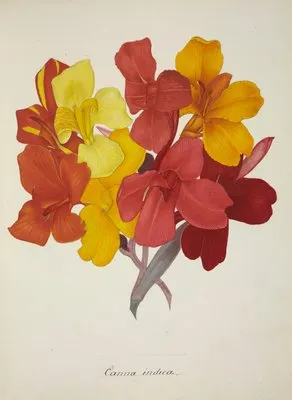 Mon Jardin a Ceylan Pl.053 (1896) (Mon Jardin a Ceylan Pl.053 (1896))