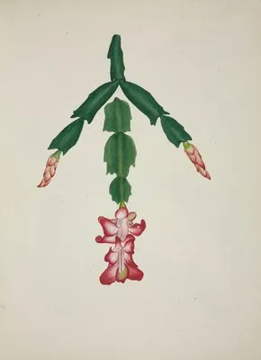 Mon Jardin a Ceylan Pl.059 (1896) (Mon Jardin a Ceylan Pl.059 (1896))