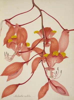 Mon Jardin a Ceylan Pl.108 (1896) (Mon Jardin a Ceylan Pl.108 (1896))