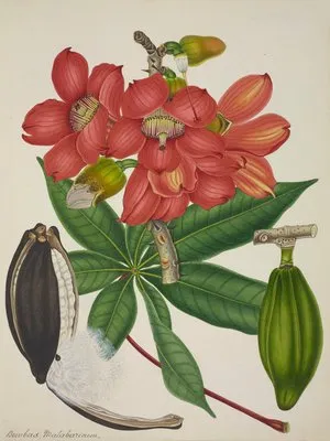Mon Jardin a Ceylan Pl.113 (1896) (Mon Jardin a Ceylan Pl.113 (1896))