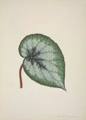 Mon Jardin a Ceylan Pl.166 (1896) (Mon Jardin a Ceylan Pl.166 (1896))