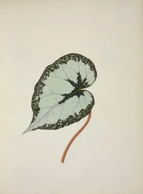 Mon Jardin a Ceylan Pl.246 (1896) (Mon Jardin a Ceylan Pl.246 (1896))
