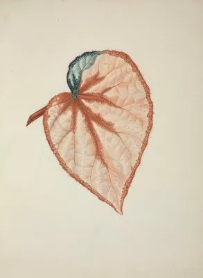 Mon Jardin a Ceylan Pl.270 (1896) (Mon Jardin a Ceylan Pl.270 (1896))